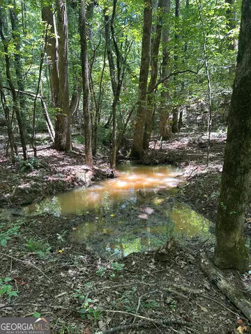 $200,000 | 6556 Elberton Road, Tignall, GA 30668