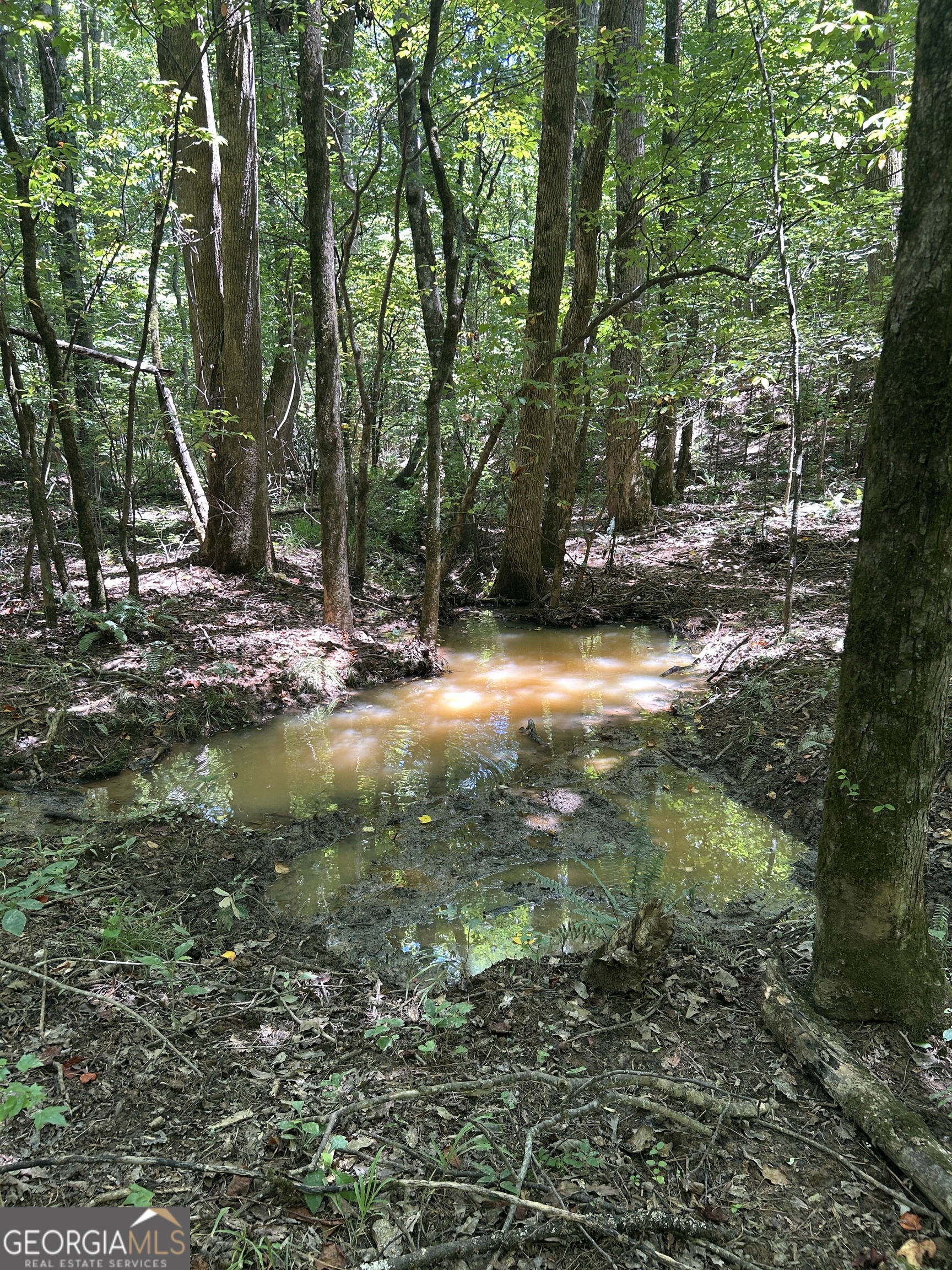 6556 Elberton Road Tignall, GA 30668 - Photo 55 of 68