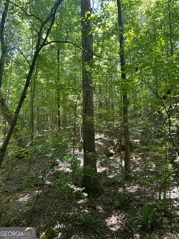 $200,000 | 6556 Elberton Road, Tignall, GA 30668