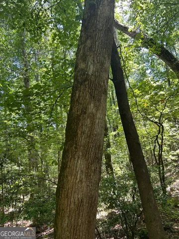 $200,000 | 6556 Elberton Road, Tignall, GA 30668