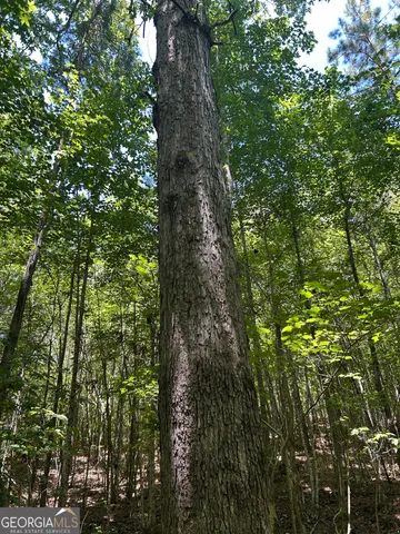 $200,000 | 6556 Elberton Road, Tignall, GA 30668