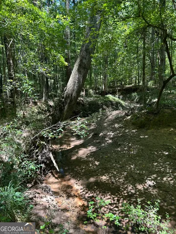 $200,000 | 6556 Elberton Road, Tignall, GA 30668