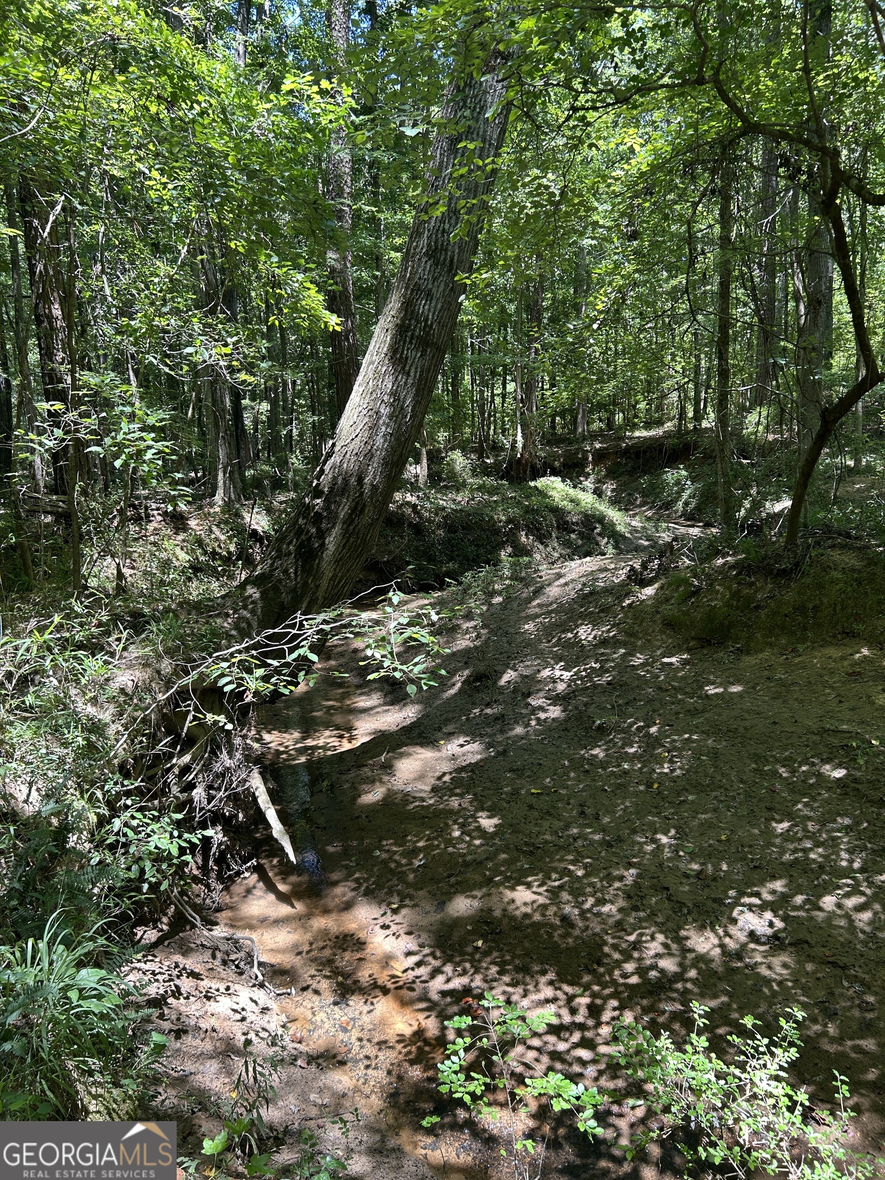 6556 Elberton Road Tignall, GA 30668 - Photo 61 of 68