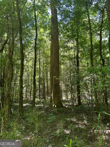 $200,000 | 6556 Elberton Road, Tignall, GA 30668