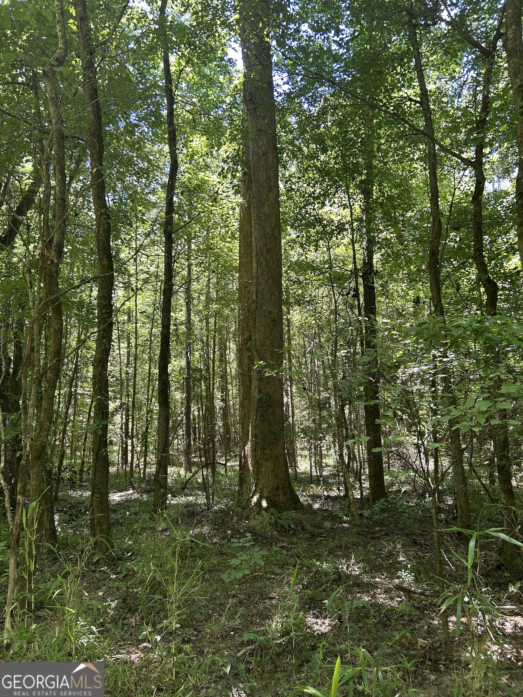 6556 Elberton Road Tignall, GA 30668 - Photo 62 of 68