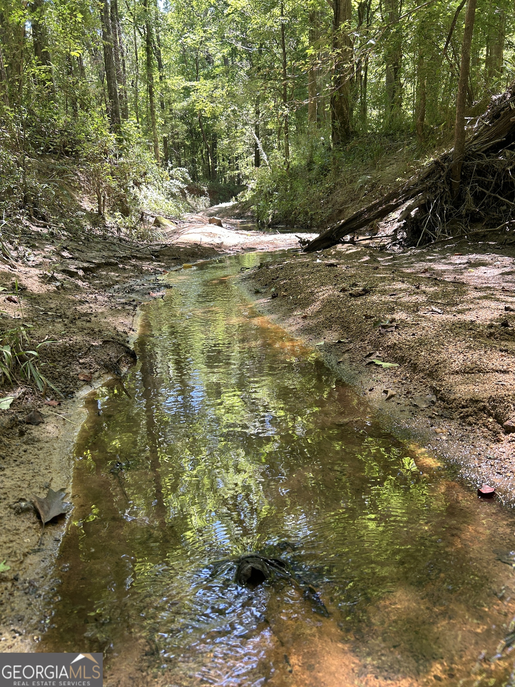 6556 Elberton Road Tignall, GA 30668 - Photo 63 of 68