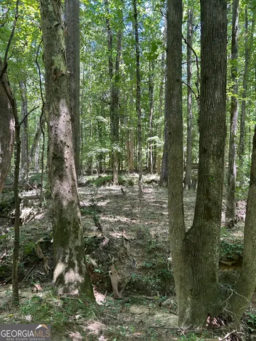 $200,000 | 6556 Elberton Road, Tignall, GA 30668