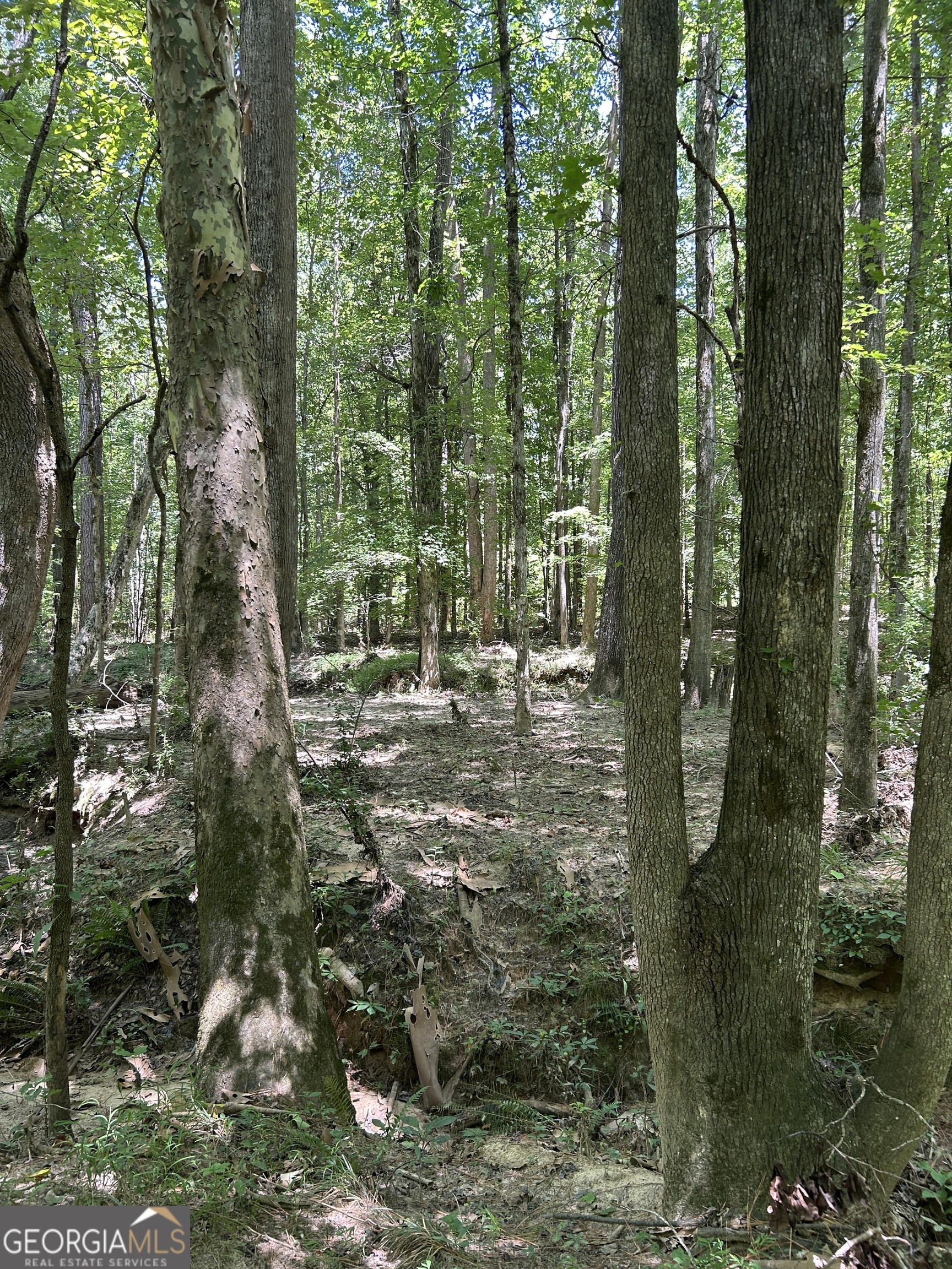 6556 Elberton Road Tignall, GA 30668 - Photo 64 of 68