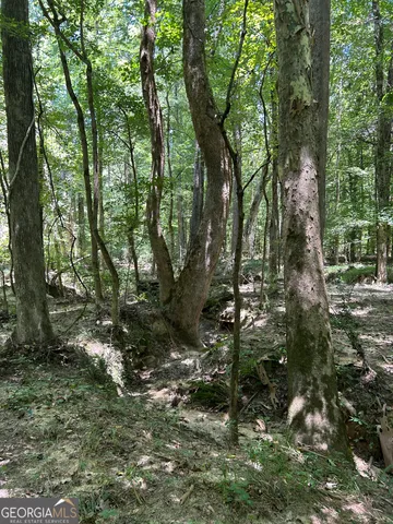 $200,000 | 6556 Elberton Road, Tignall, GA 30668