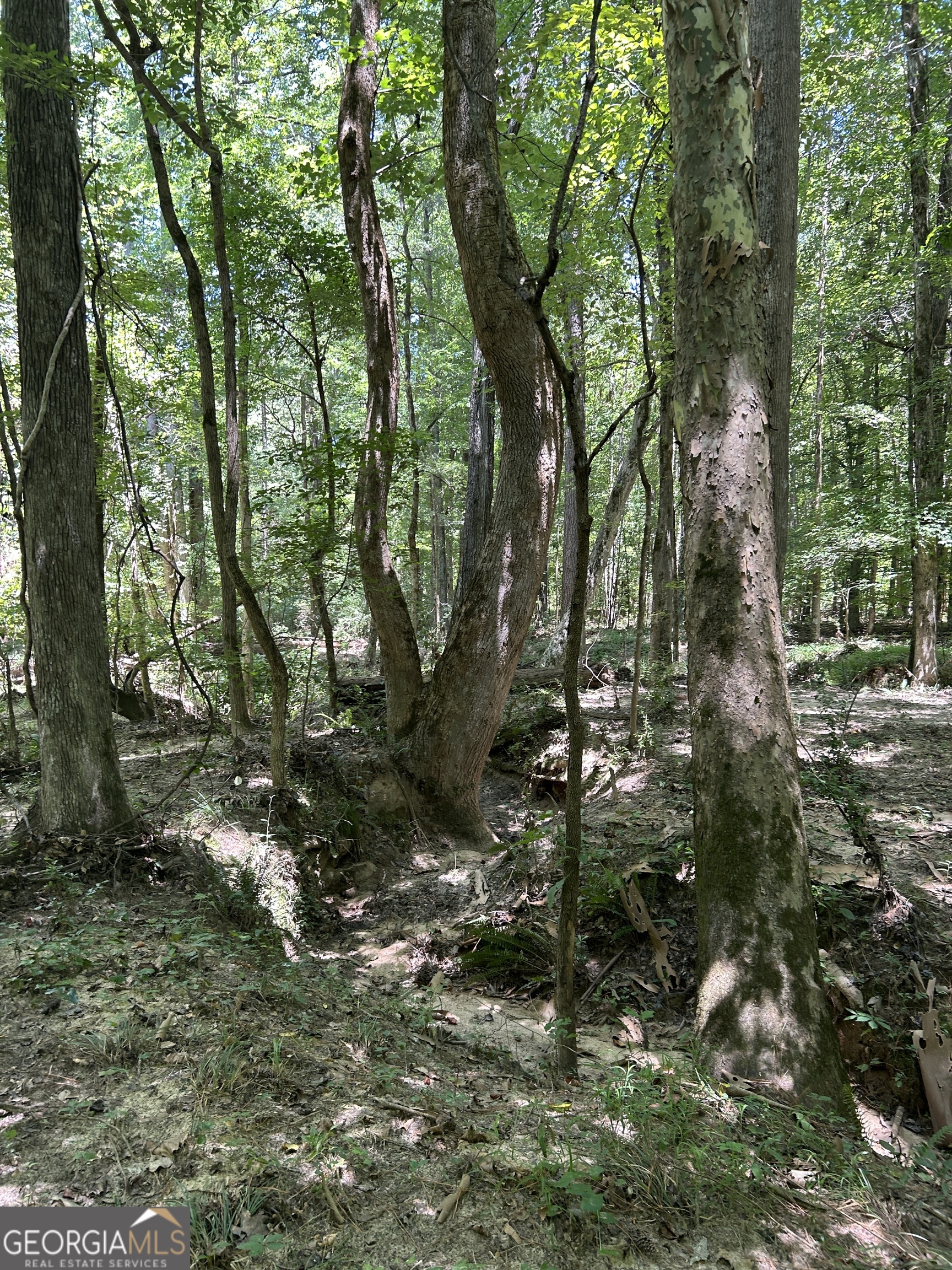 6556 Elberton Road Tignall, GA 30668 - Photo 65 of 68