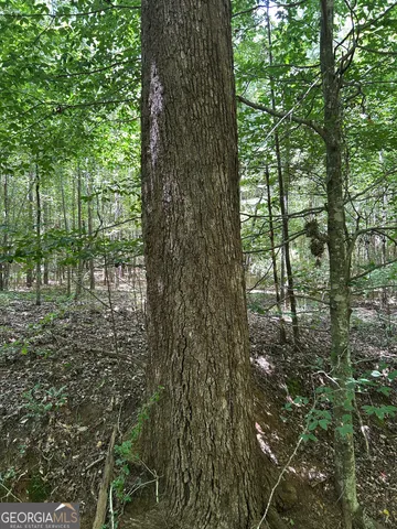 $200,000 | 6556 Elberton Road, Tignall, GA 30668