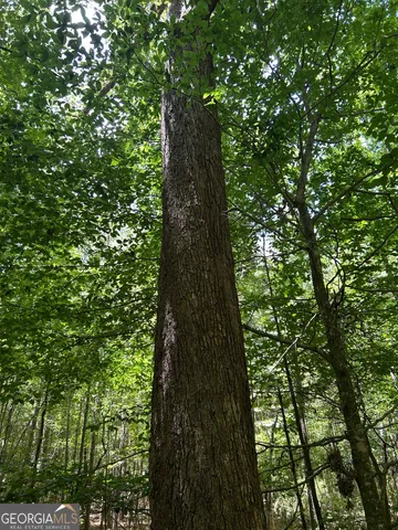 $200,000 | 6556 Elberton Road, Tignall, GA 30668