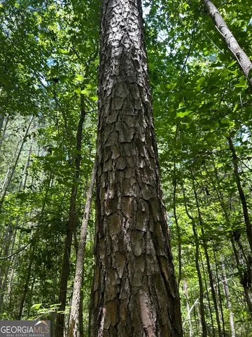 $200,000 | 6556 Elberton Road, Tignall, GA 30668