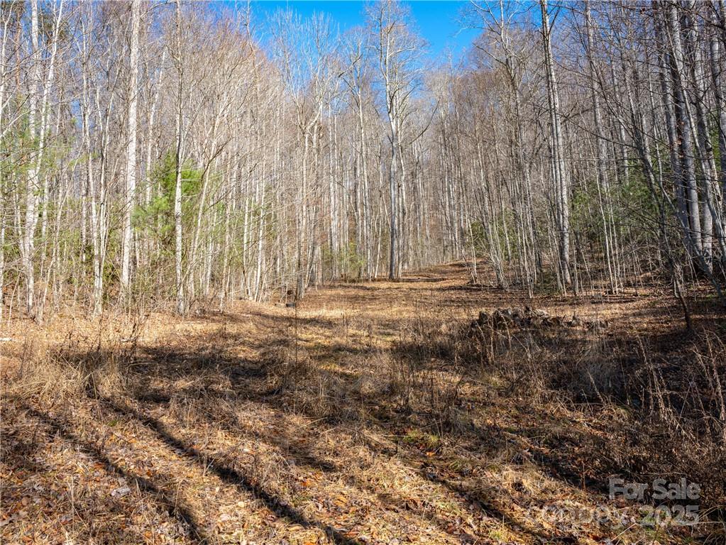 Tbd Long Branch Road Swannanoa, NC 28778 - Photo 11 of 18 a view of door and green space