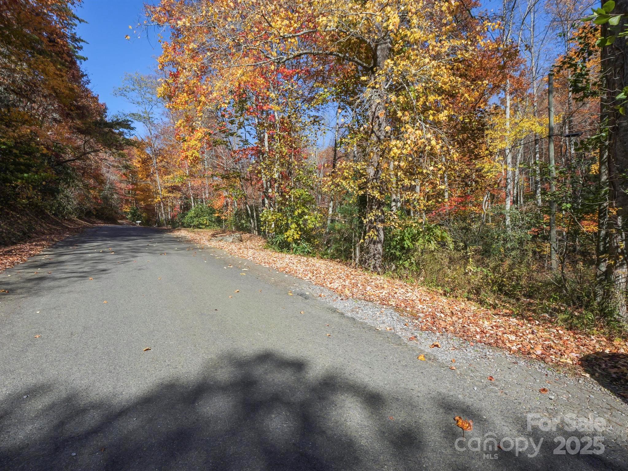 Tbd Long Branch Road Swannanoa, NC 28778 - Photo 13 of 18 a view of a road from a yard