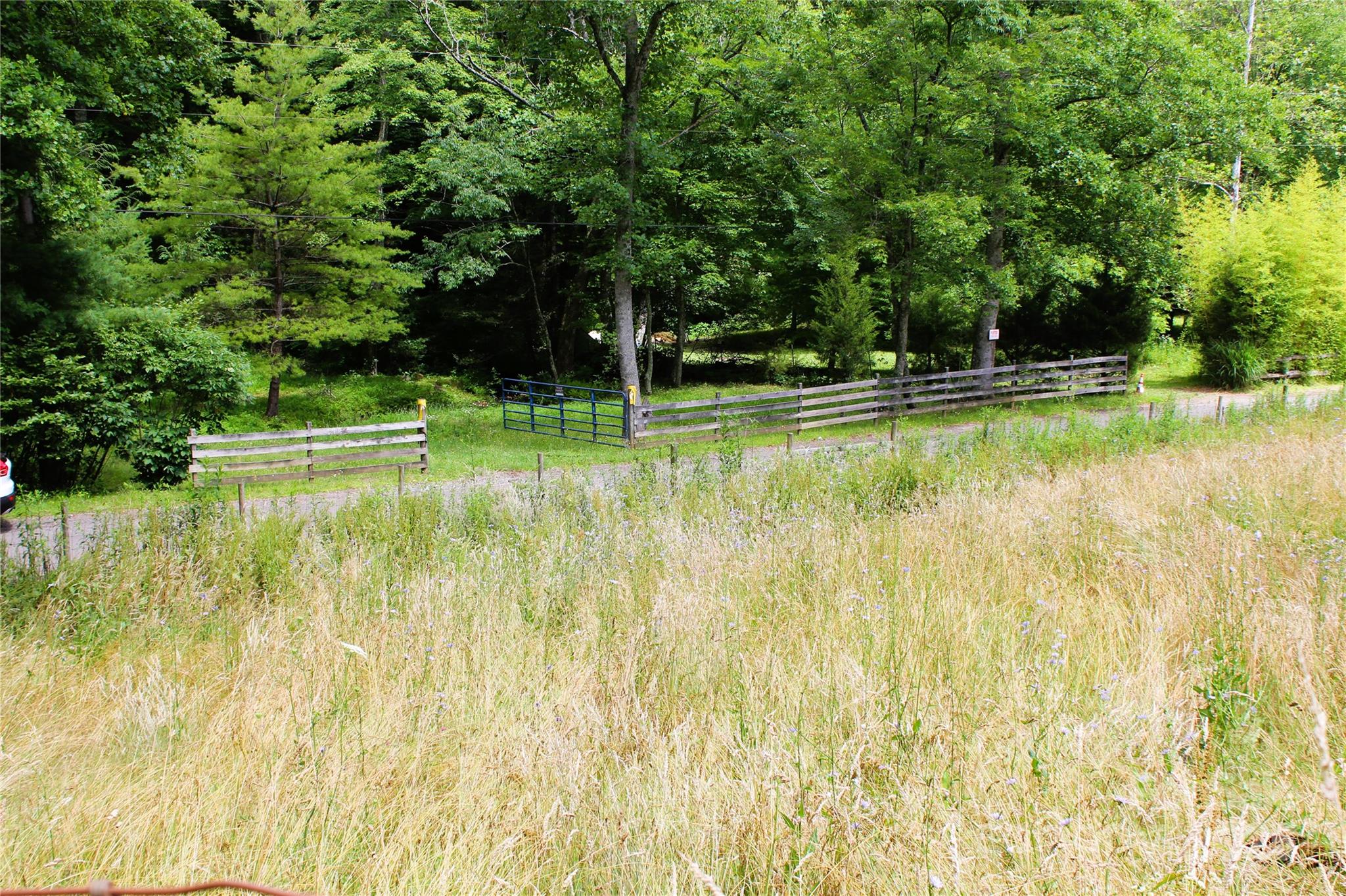 Tbd Long Branch Road Swannanoa, NC 28778 - Photo 18 of 18