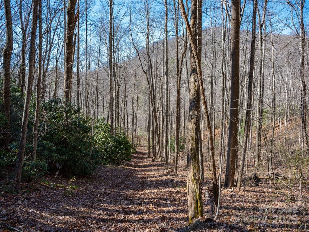 Tbd Long Branch Road Swannanoa, NC 28778 - Photo 4 of 18 a view of a backyard with pathway