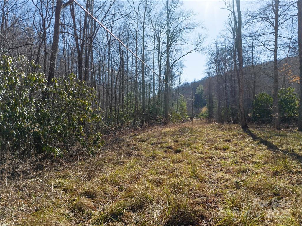 Tbd Long Branch Road Swannanoa, NC 28778 - Photo 8 of 18 a backyard of a house