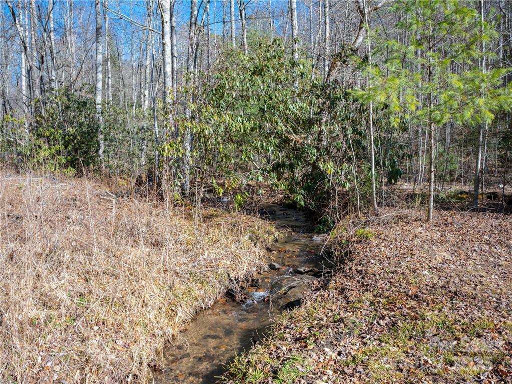 Tbd Long Branch Road Swannanoa, NC 28778 - Photo 9 of 18 a view of a forest filled with trees