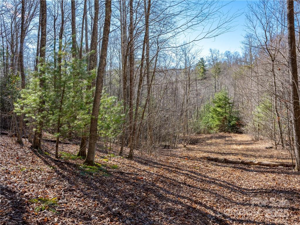 Tbd Long Branch Road Swannanoa, NC 28778 - Photo 10 of 18 a view of a backyard of the house