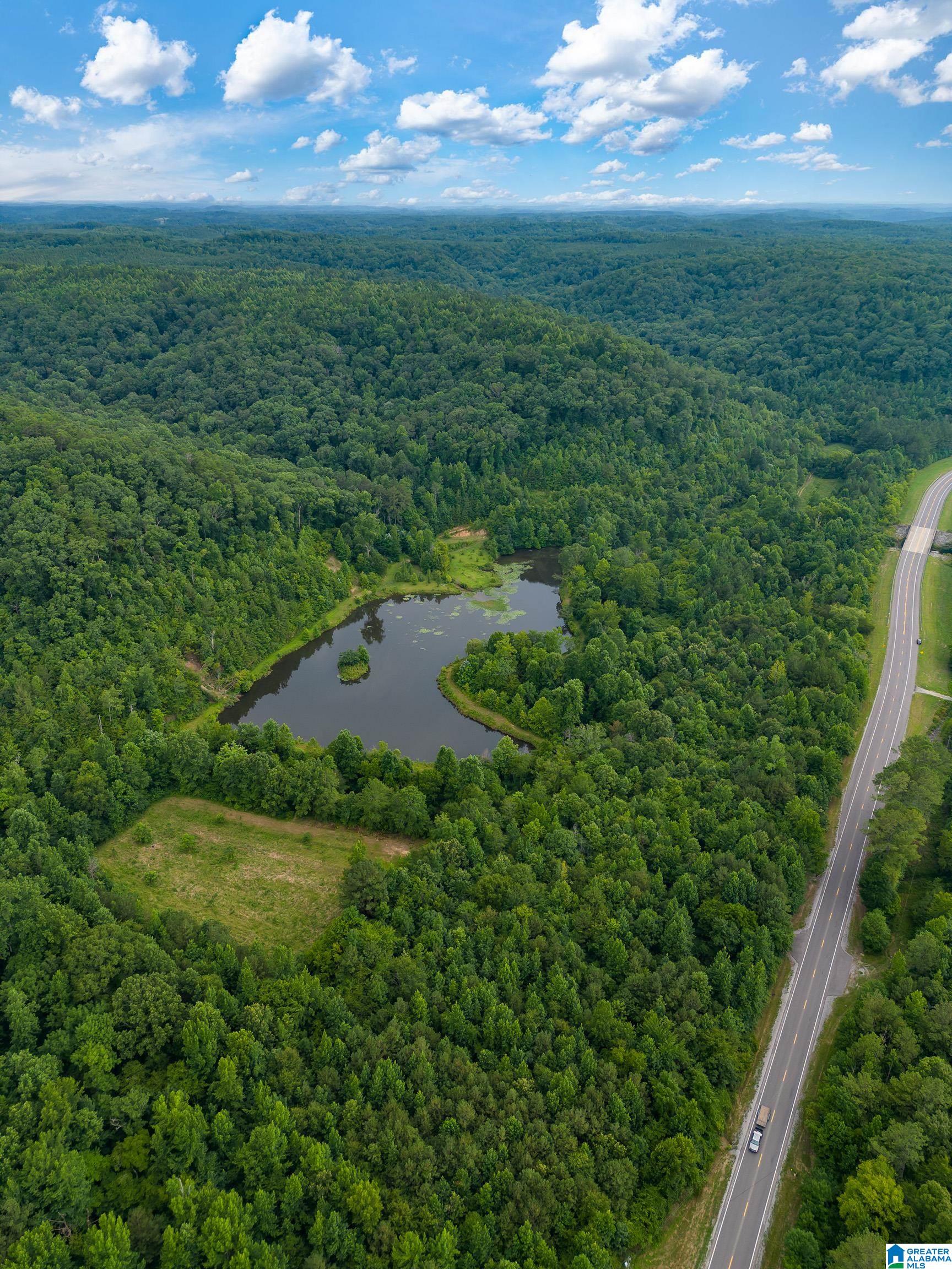 81 Frozen Hollow Road, Unit 32 Carbon Hill, AL 35549 - Photo 37 of 42