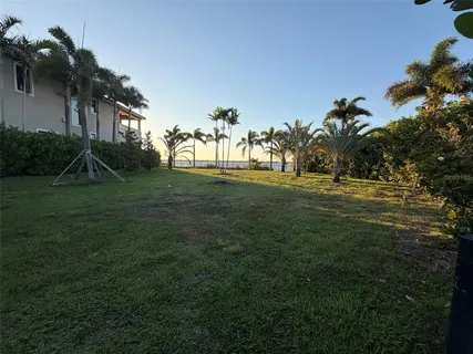 a view of back yard of the house