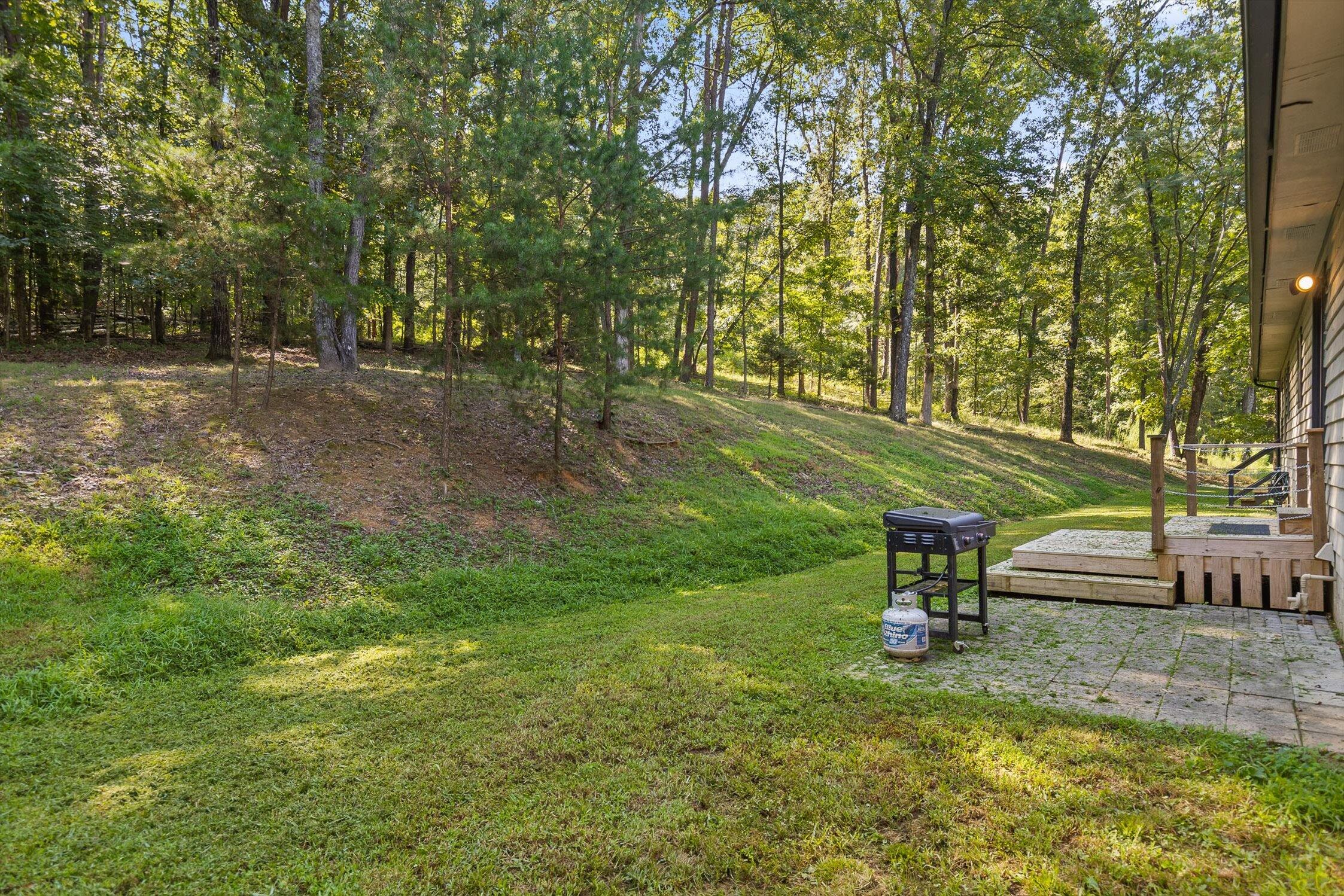 6300 Davis Hill Road Harrison, TN 37341 - Photo 37 of 50 37-Davis Hill-33