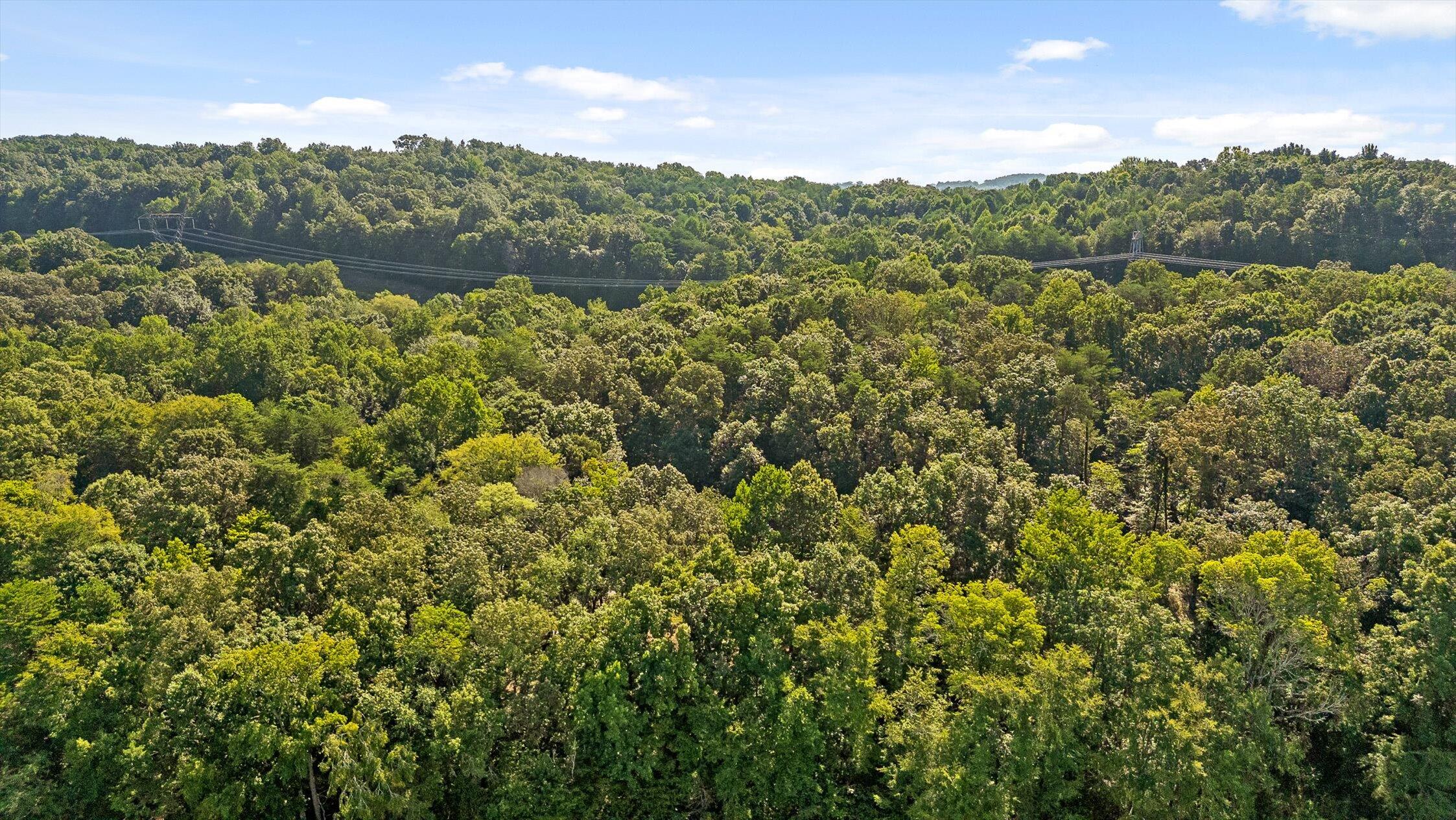6300 Davis Hill Road Harrison, TN 37341 - Photo 38 of 50 39-Davis Hill-35