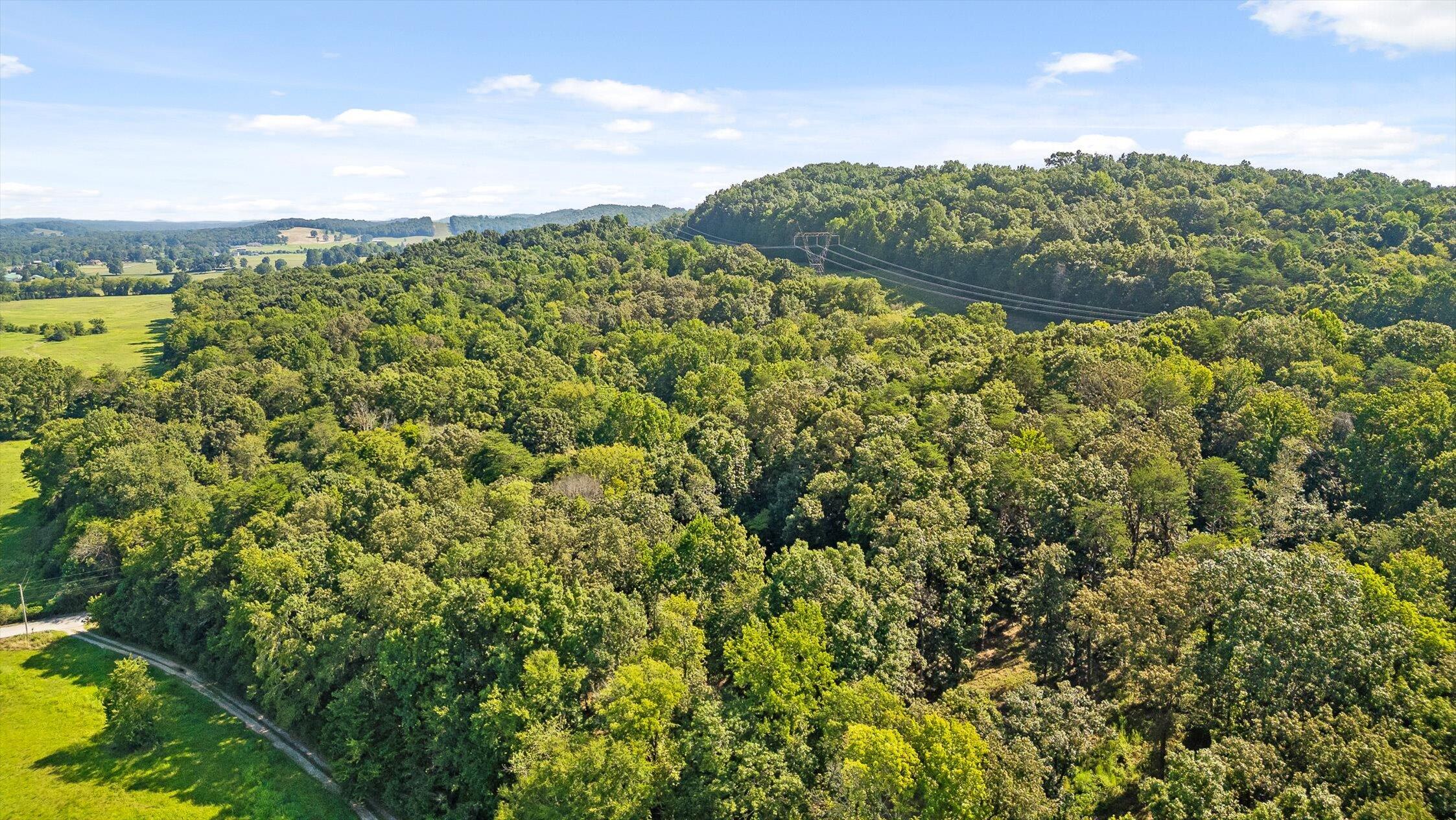 6300 Davis Hill Road Harrison, TN 37341 - Photo 39 of 50 40-Davis Hill-36