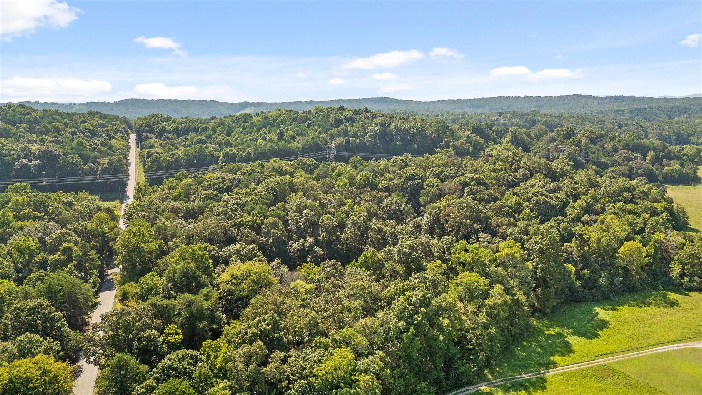6300 Davis Hill Road Harrison, TN 37341 - Photo 45 of 50 47-Davis Hill-42