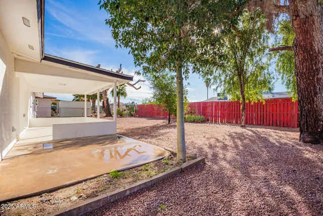 a view of a yard with wooden fence