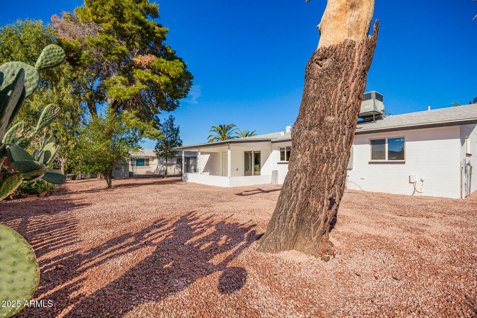 5237 East Dallas Street Mesa, AZ 85205 - Photo 24 of 30 a front view of a house with a tree
