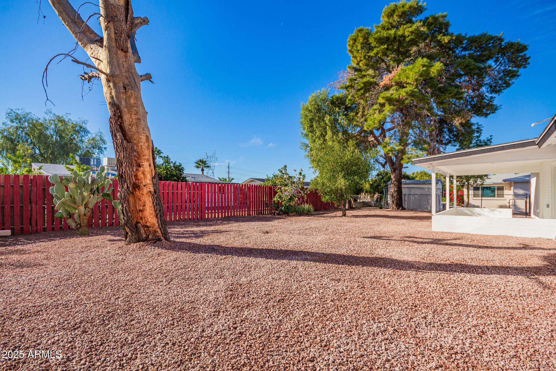 5237 East Dallas Street Mesa, AZ 85205 - Photo 26 of 30 a view of a house with a yard and tree s