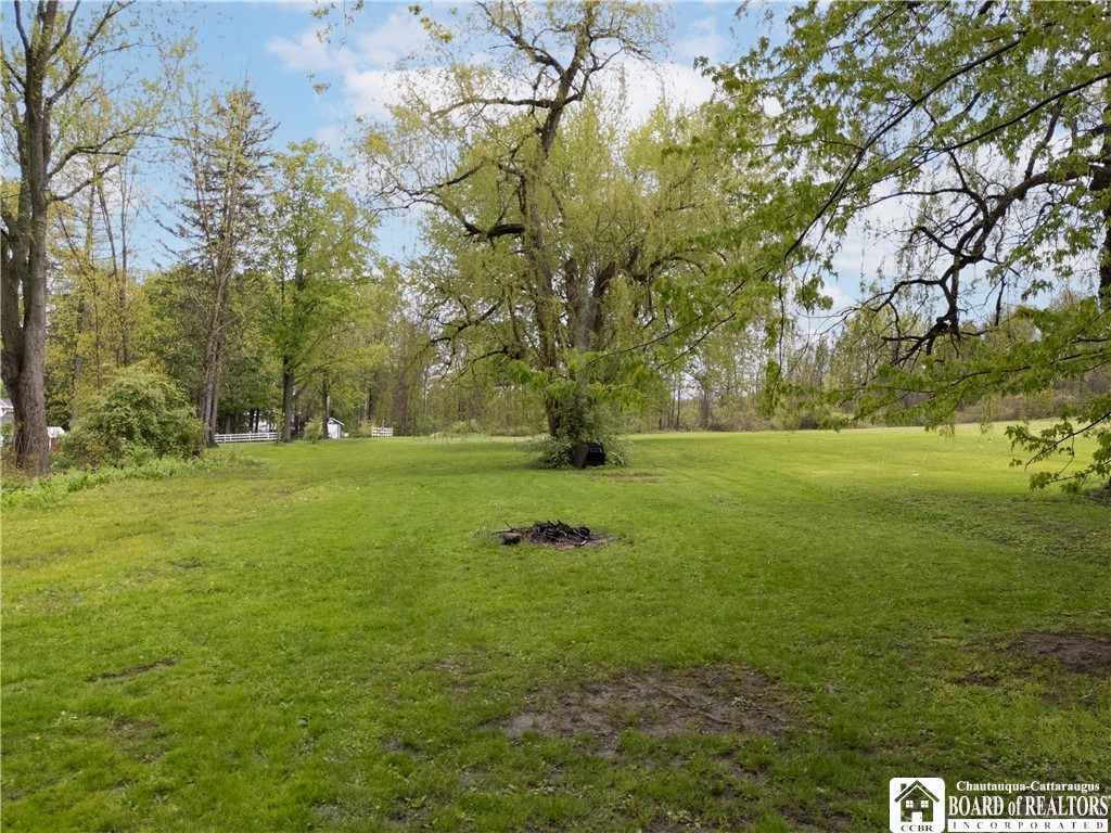 22 High Street Cassadaga, NY 14718 - Photo 32 of 34