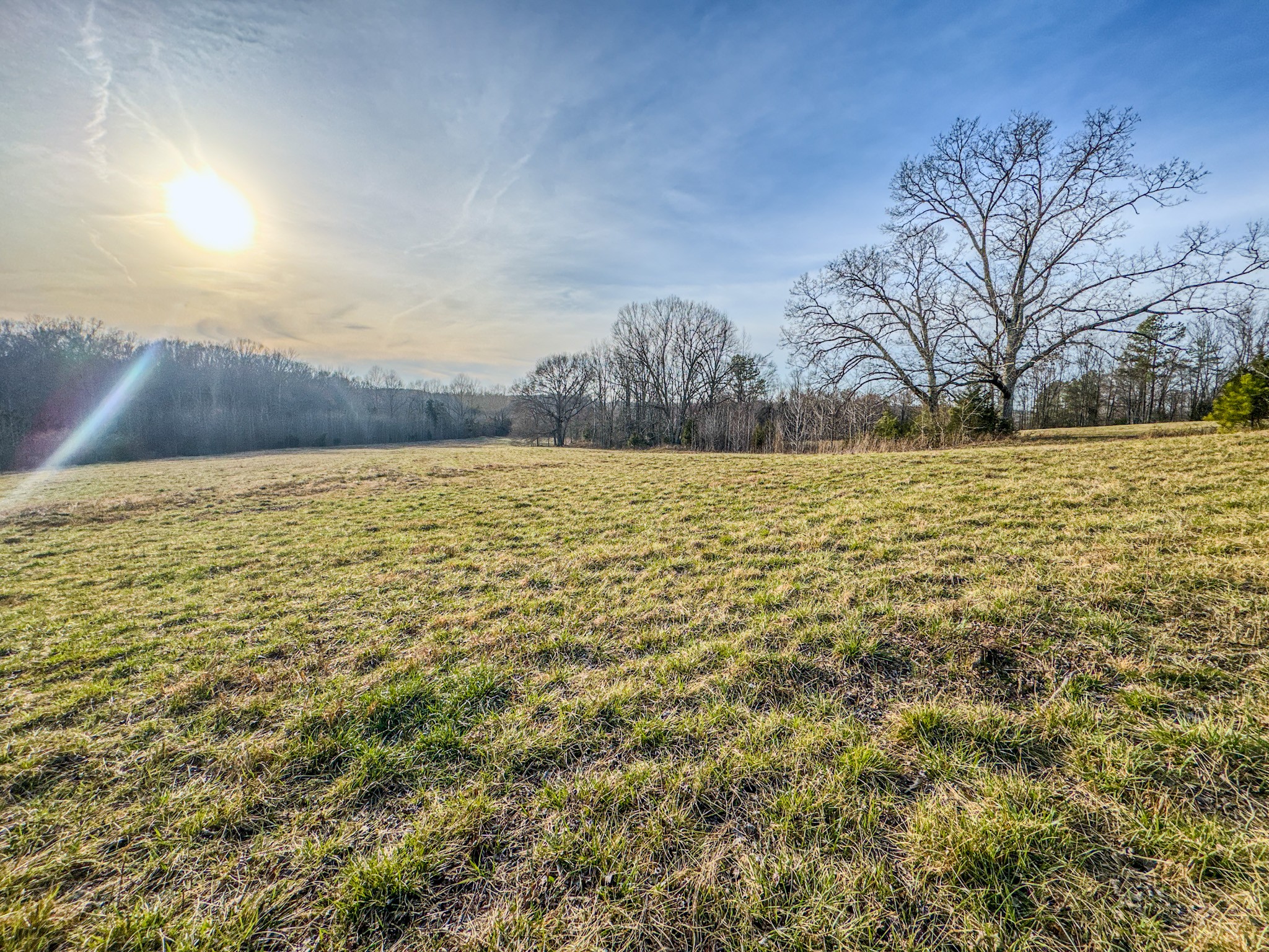 835 Mt Zion Road Scotts Hill, TN 38374 - Photo 1 of 76