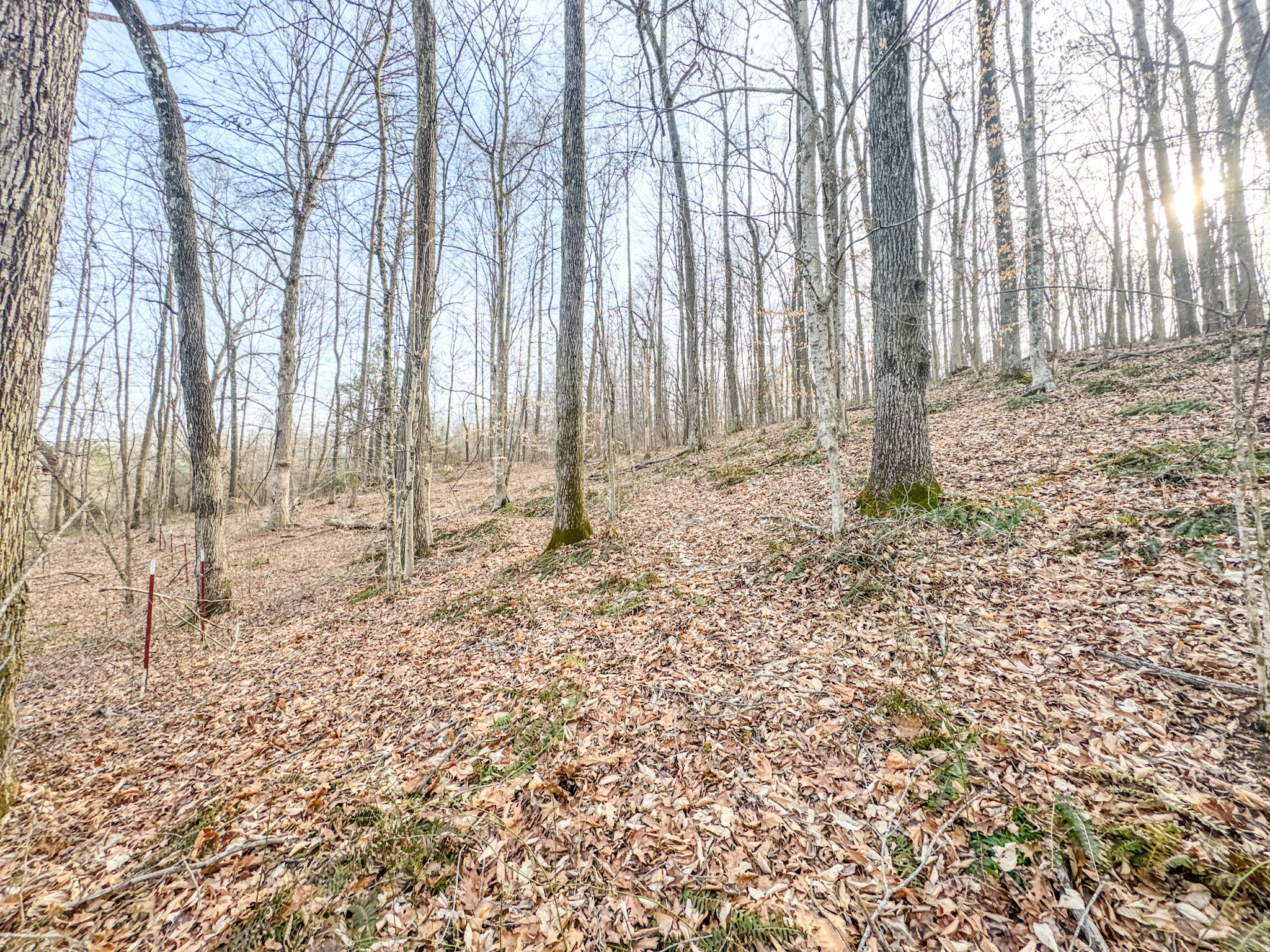 835 Mt Zion Road Scotts Hill, TN 38374 - Photo 14 of 76