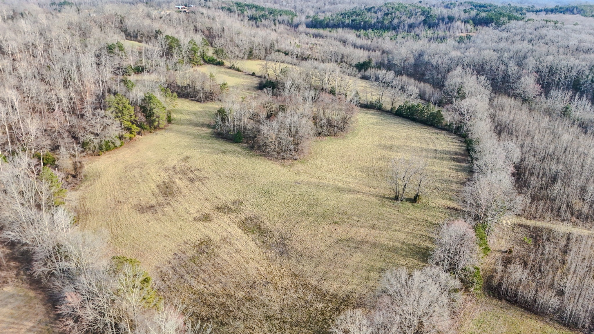835 Mt Zion Road Scotts Hill, TN 38374 - Photo 16 of 76