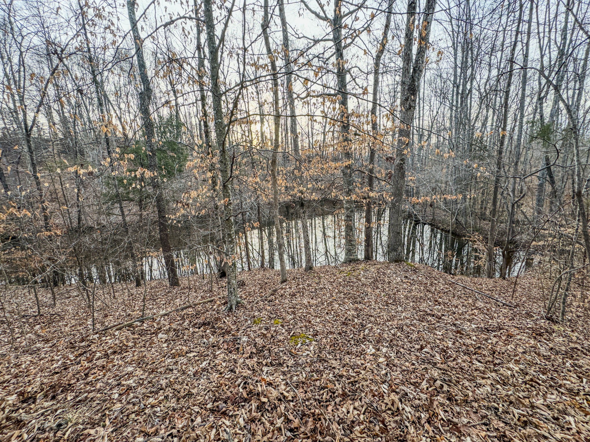 835 Mt Zion Road Scotts Hill, TN 38374 - Photo 19 of 76