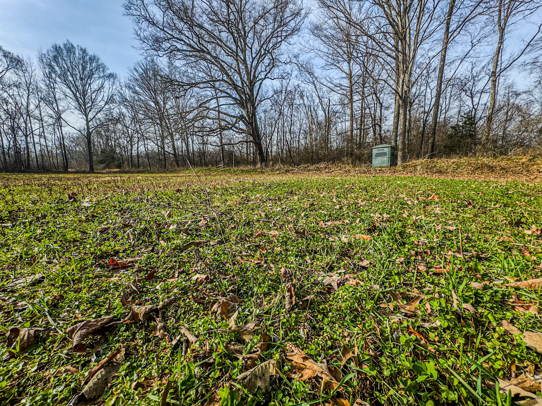 835 Mt Zion Road Scotts Hill, TN 38374 - Photo 20 of 76