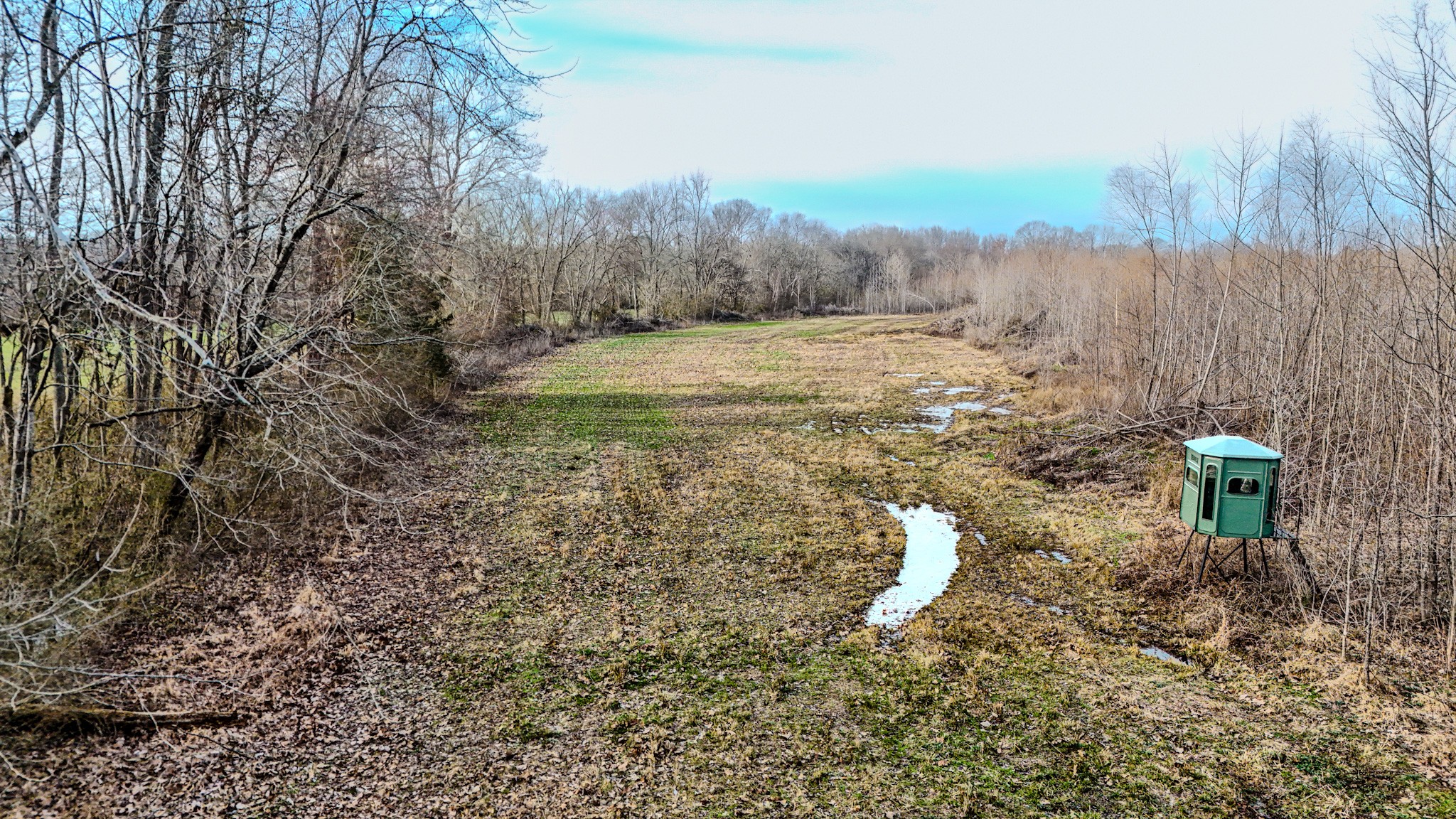 835 Mt Zion Road Scotts Hill, TN 38374 - Photo 2 of 76 a view of a yard