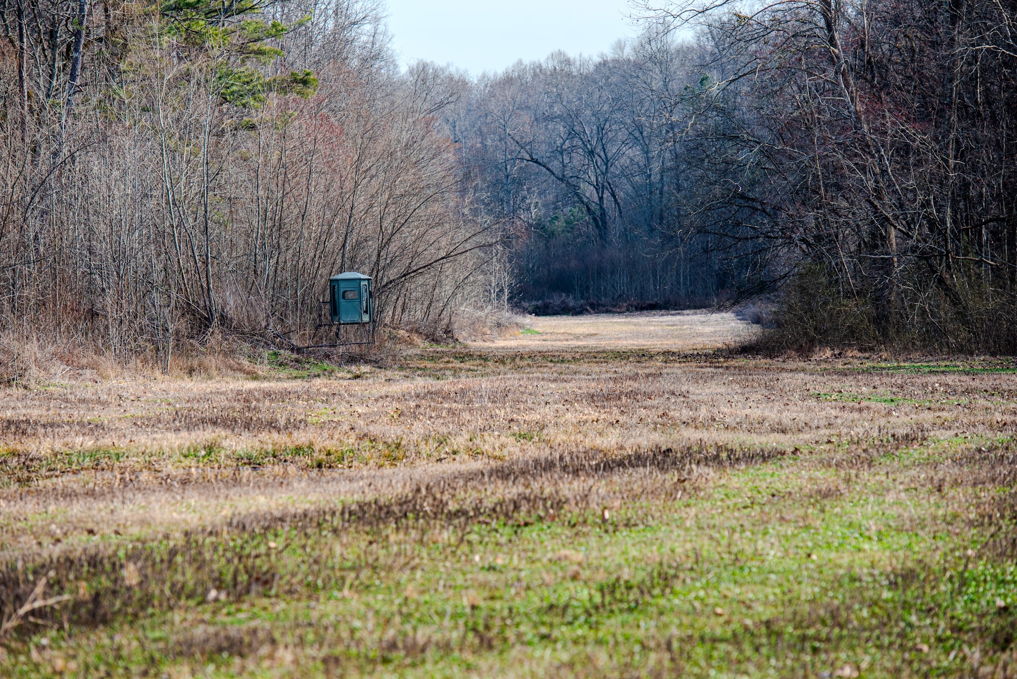 835 Mt Zion Road Scotts Hill, TN 38374 - Photo 25 of 76 a view of backyard of a house