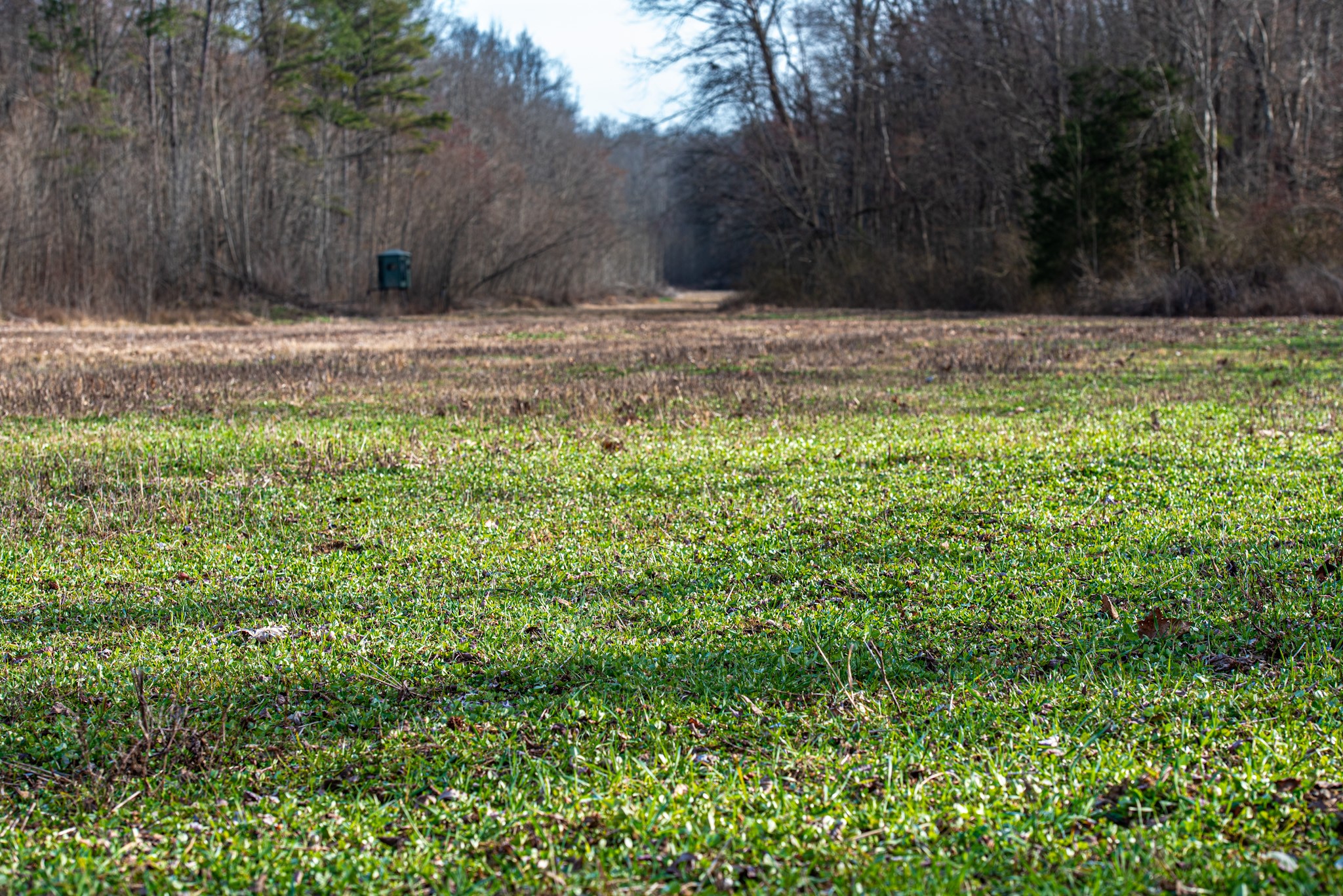 835 Mt Zion Road Scotts Hill, TN 38374 - Photo 26 of 76 a view of a yard with an outdoor space