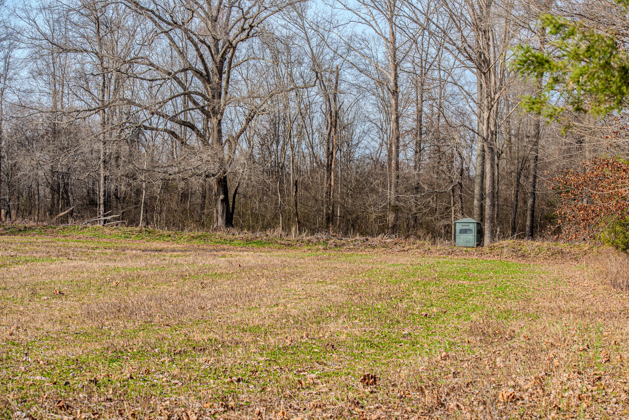 835 Mt Zion Road Scotts Hill, TN 38374 - Photo 27 of 76 a house with swimming pool in front of it