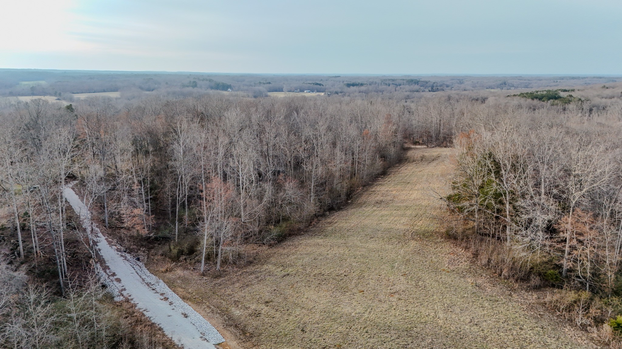 835 Mt Zion Road Scotts Hill, TN 38374 - Photo 29 of 76 a view of a dry yard with wooden fence