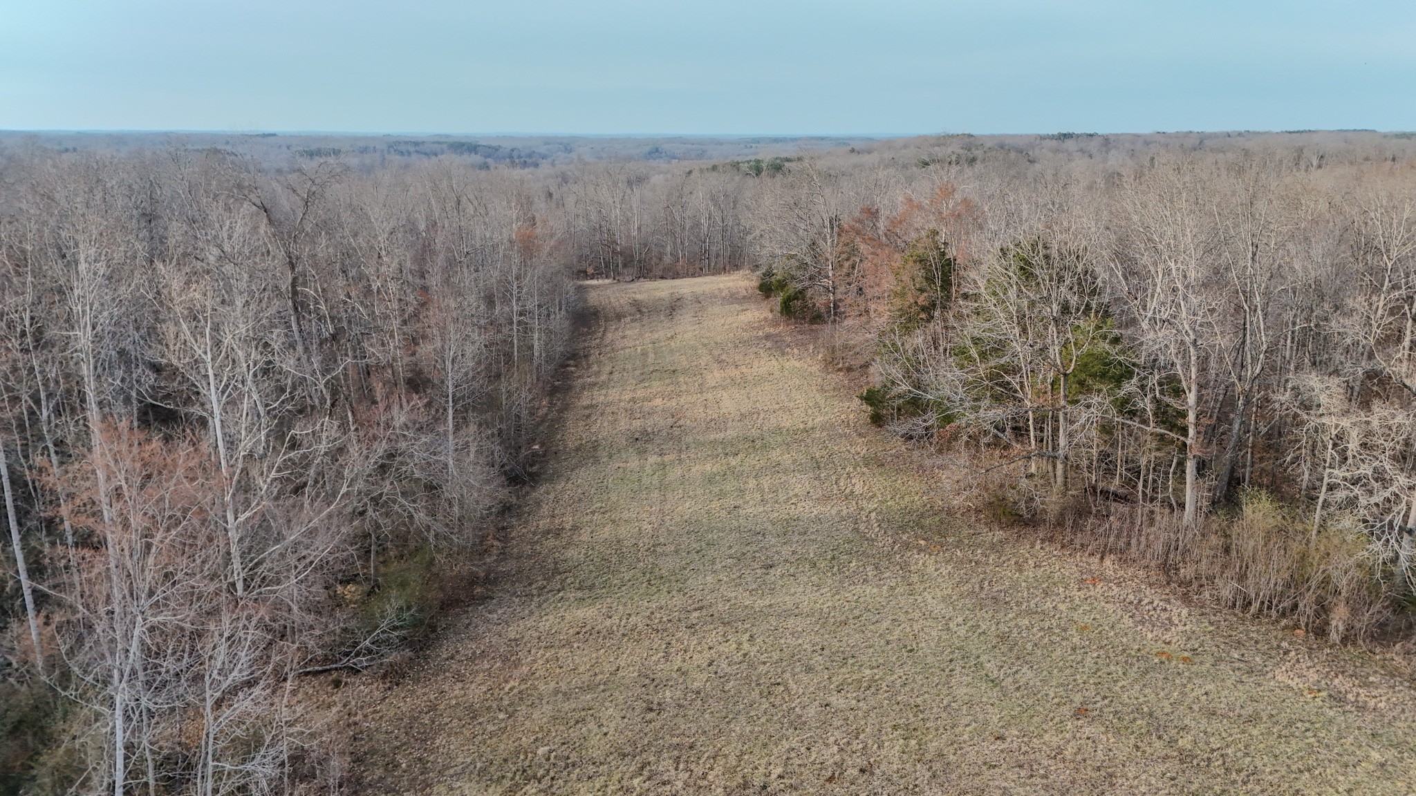 835 Mt Zion Road Scotts Hill, TN 38374 - Photo 30 of 76