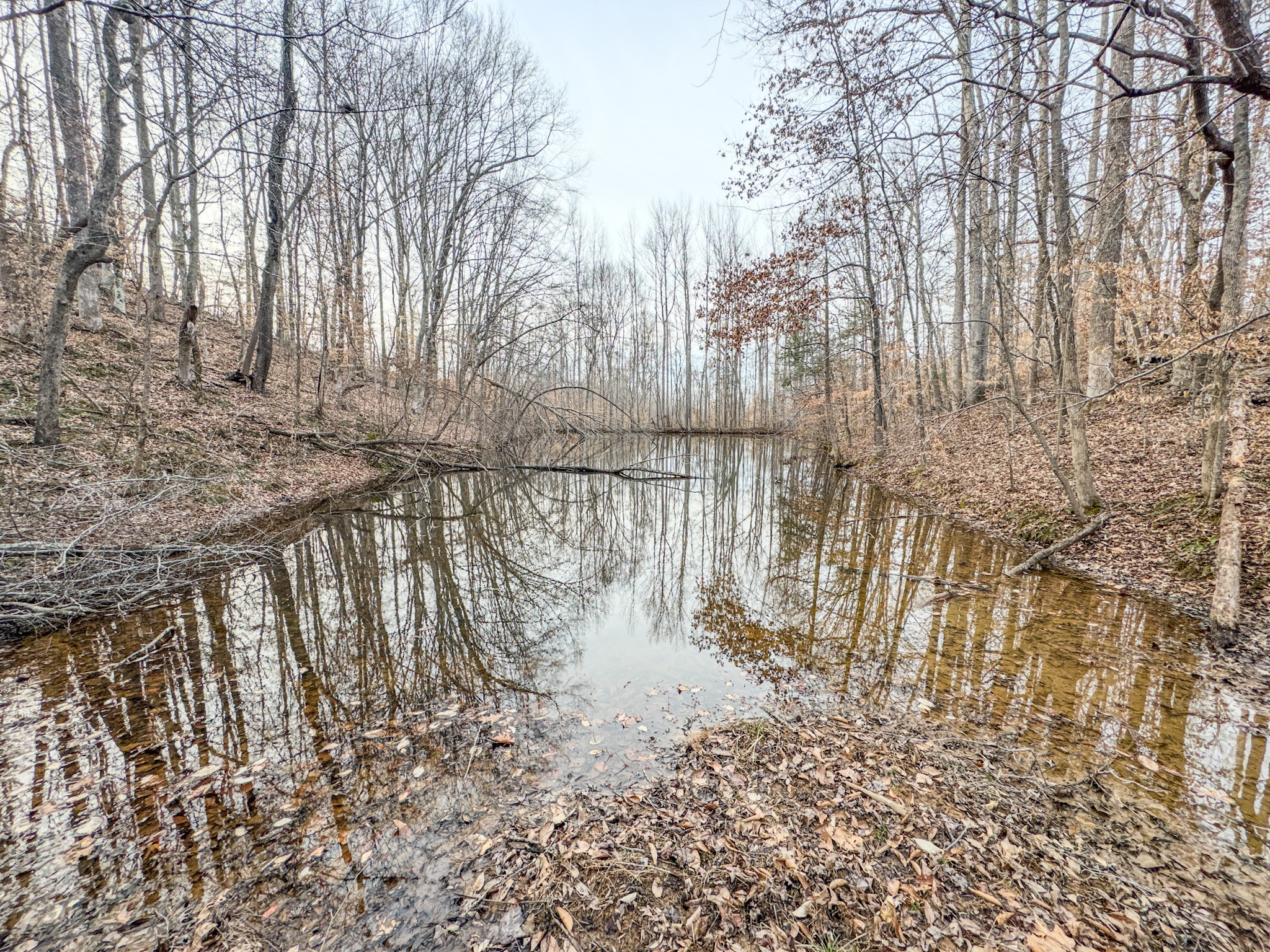 835 Mt Zion Road Scotts Hill, TN 38374 - Photo 32 of 76 a view of swimming pool with a yard