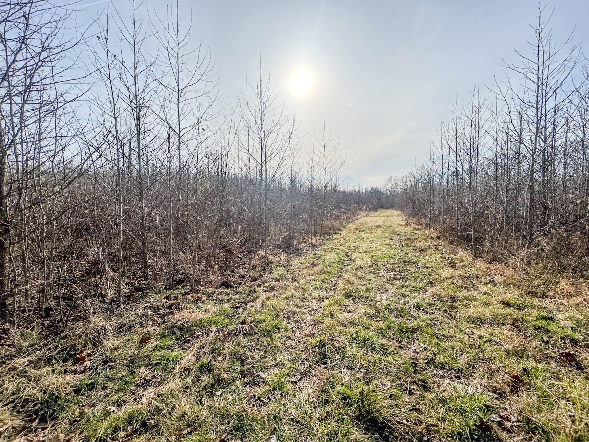 835 Mt Zion Road Scotts Hill, TN 38374 - Photo 35 of 76