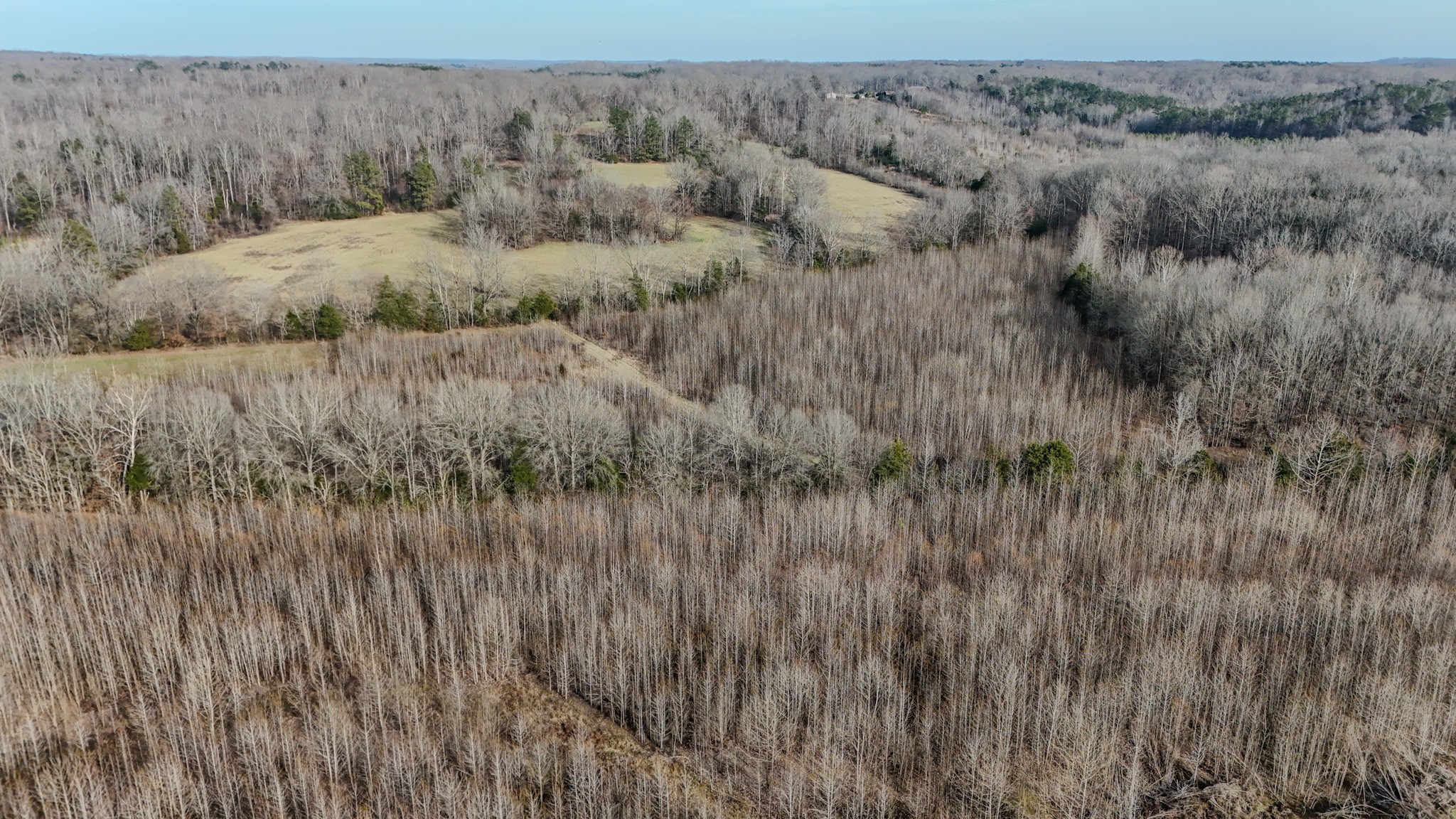 835 Mt Zion Road Scotts Hill, TN 38374 - Photo 39 of 76 a view of a dry grass field