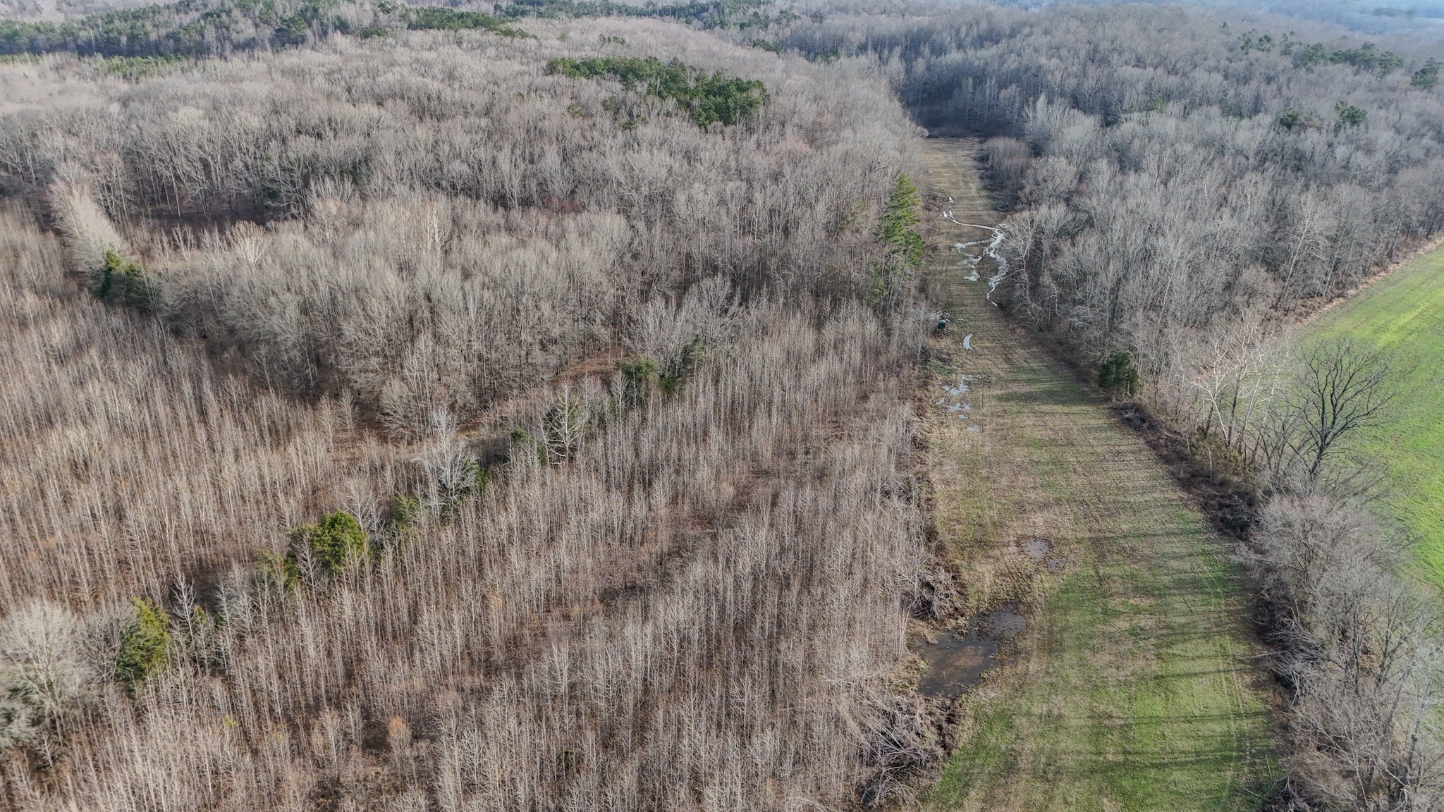 835 Mt Zion Road Scotts Hill, TN 38374 - Photo 40 of 76 a view of a dry yard