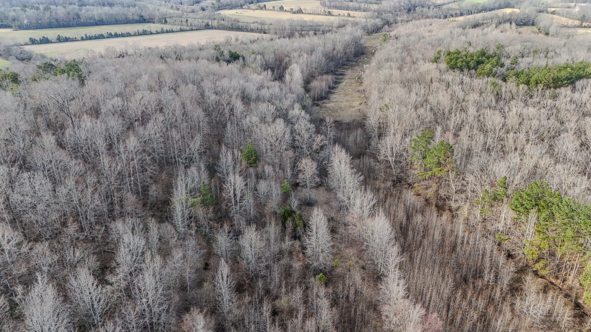 835 Mt Zion Road Scotts Hill, TN 38374 - Photo 41 of 76